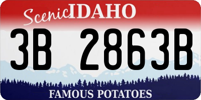 ID license plate 3B2863B