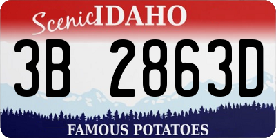 ID license plate 3B2863D