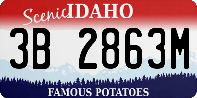 ID license plate 3B2863M