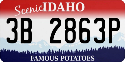 ID license plate 3B2863P
