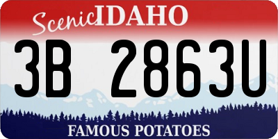 ID license plate 3B2863U