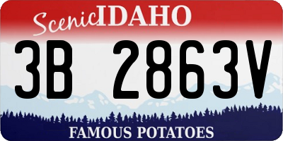 ID license plate 3B2863V
