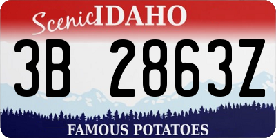 ID license plate 3B2863Z