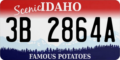 ID license plate 3B2864A