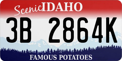 ID license plate 3B2864K