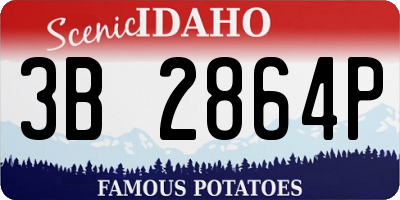 ID license plate 3B2864P