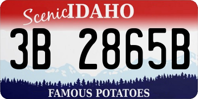 ID license plate 3B2865B