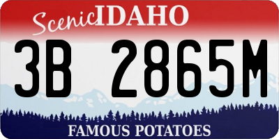 ID license plate 3B2865M