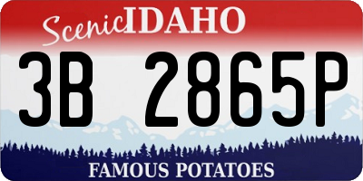 ID license plate 3B2865P