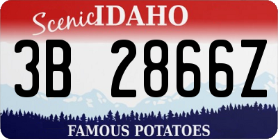 ID license plate 3B2866Z