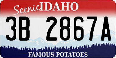ID license plate 3B2867A