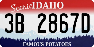 ID license plate 3B2867D