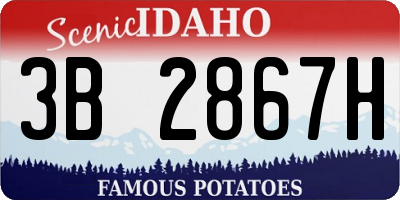 ID license plate 3B2867H