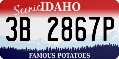 ID license plate 3B2867P