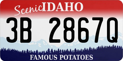 ID license plate 3B2867Q