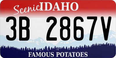 ID license plate 3B2867V