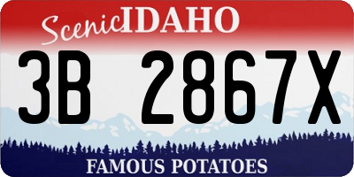 ID license plate 3B2867X