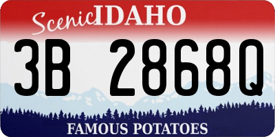 ID license plate 3B2868Q