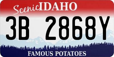 ID license plate 3B2868Y
