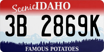 ID license plate 3B2869K