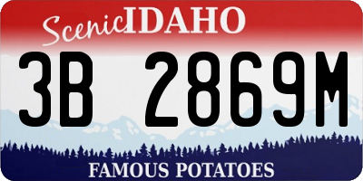 ID license plate 3B2869M