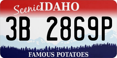ID license plate 3B2869P