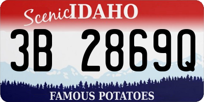ID license plate 3B2869Q