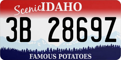 ID license plate 3B2869Z