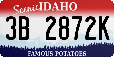 ID license plate 3B2872K