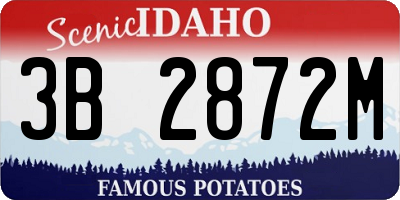 ID license plate 3B2872M
