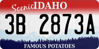 ID license plate 3B2873A
