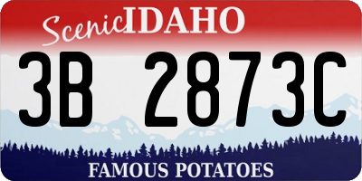 ID license plate 3B2873C