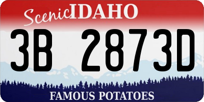 ID license plate 3B2873D