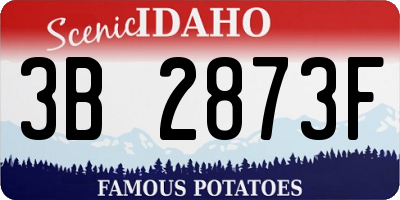 ID license plate 3B2873F