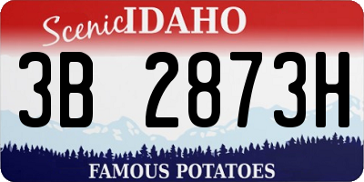 ID license plate 3B2873H
