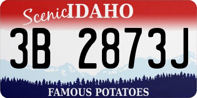 ID license plate 3B2873J