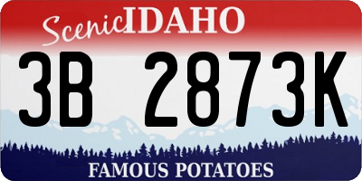 ID license plate 3B2873K