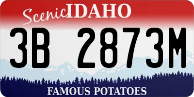 ID license plate 3B2873M