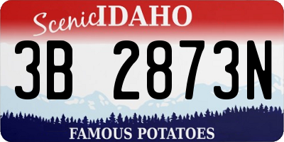 ID license plate 3B2873N