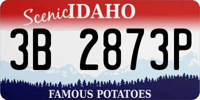 ID license plate 3B2873P