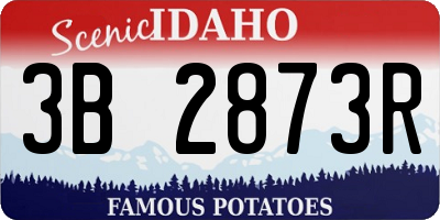 ID license plate 3B2873R