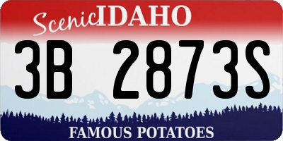 ID license plate 3B2873S