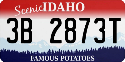ID license plate 3B2873T