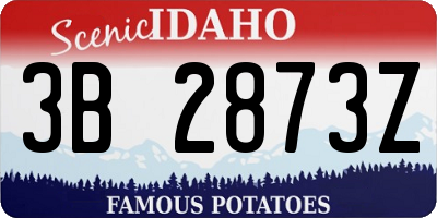 ID license plate 3B2873Z