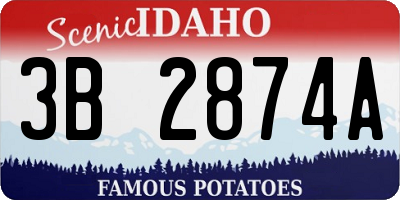 ID license plate 3B2874A