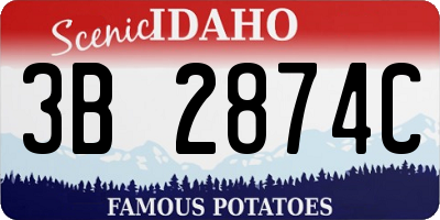 ID license plate 3B2874C