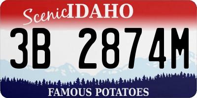 ID license plate 3B2874M