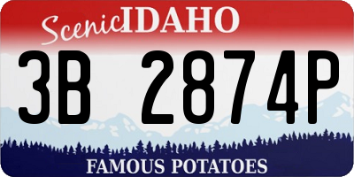 ID license plate 3B2874P