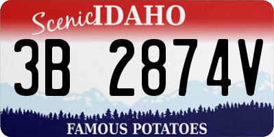 ID license plate 3B2874V
