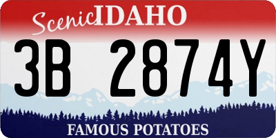 ID license plate 3B2874Y